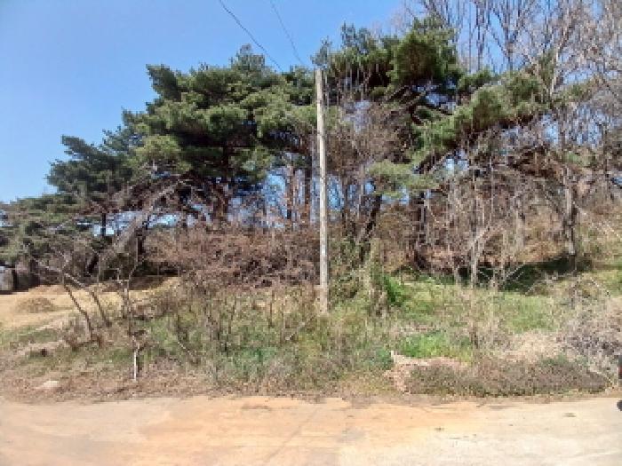 충청남도 서산시 운산면 와우리 668-2 임야 경매 사진 36