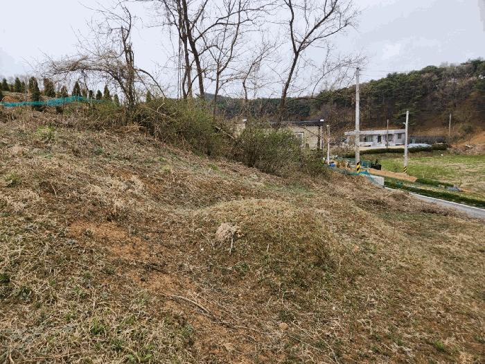 충청남도 서산시 운산면 와우리 668-2 임야 경매 사진 4