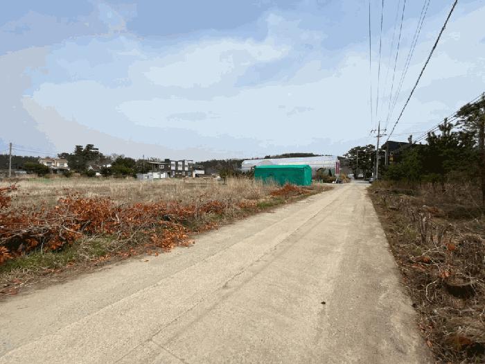 충청남도 태안군 남면 신온리 168-36 임야 경매 사진 1
