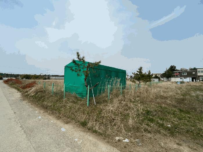 충청남도 태안군 남면 신온리 168-36 임야 경매 사진 10