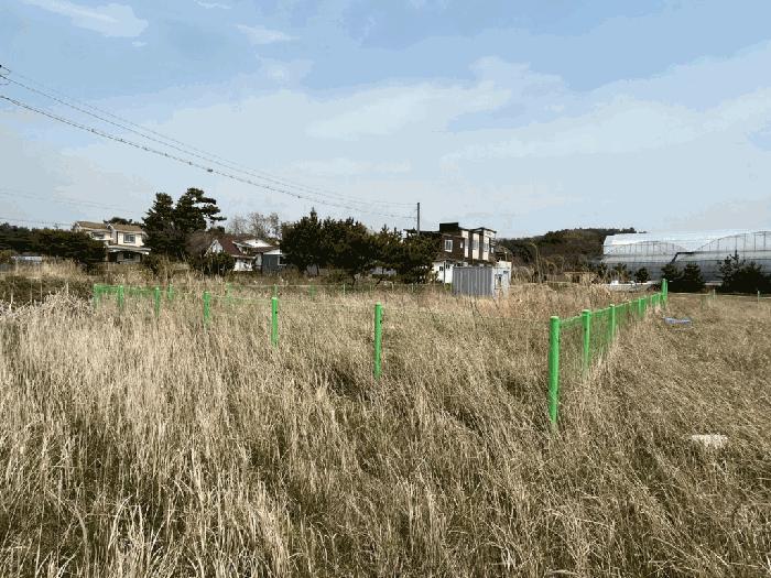 충청남도 태안군 남면 신온리 168-36 임야 경매 사진 11