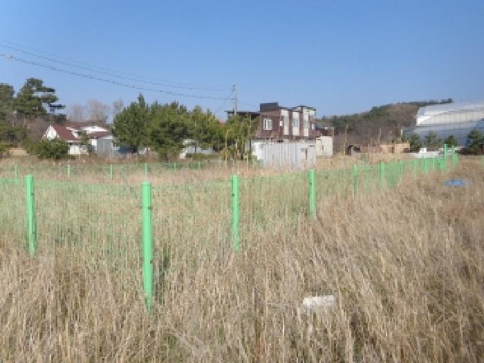 충청남도 태안군 남면 신온리 168-36 임야 경매 사진 14