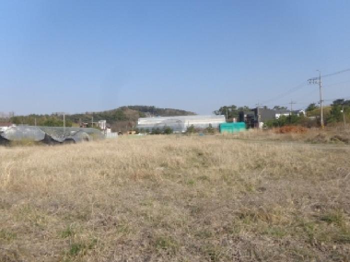 충청남도 태안군 남면 신온리 168-36 임야 경매 사진 22