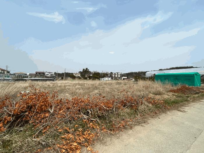 충청남도 태안군 남면 신온리 168-36 임야 경매 사진 8
