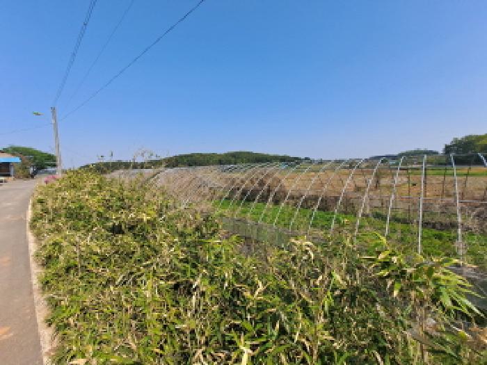 충청남도 당진시 송악읍 오곡리 165-1 답 경매 사진 23