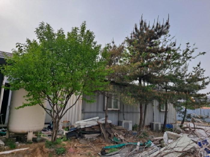 충청남도 당진시 송산면 동곡리 415 상가 경매 사진 16
