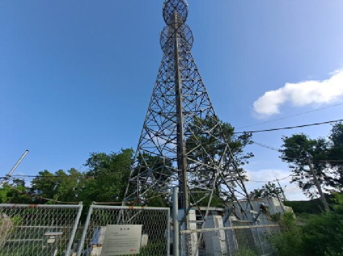 충청남도 당진시 송악읍 복운리 233-4 임야 경매 사진 5