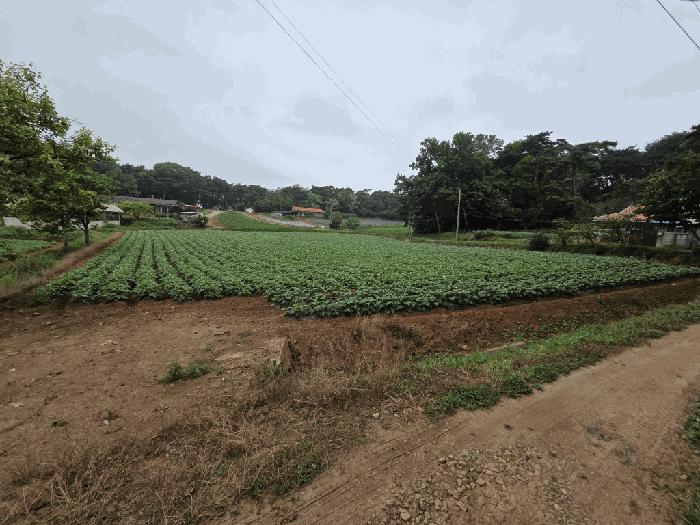 충청남도 당진시 전