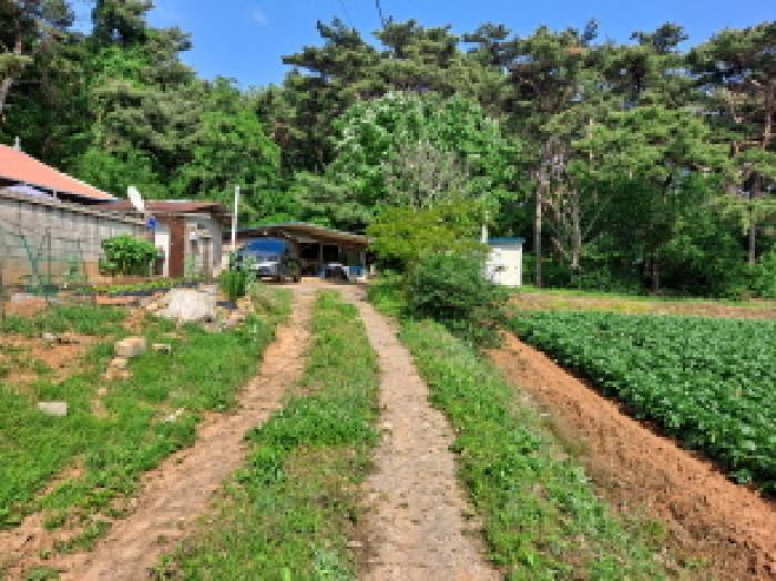 충청남도 당진시 송악읍 부곡리 362-1 전 경매 사진 14