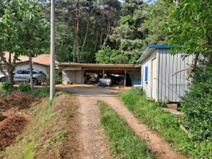 충청남도 당진시 송악읍 부곡리 362-1 전 경매 사진 19