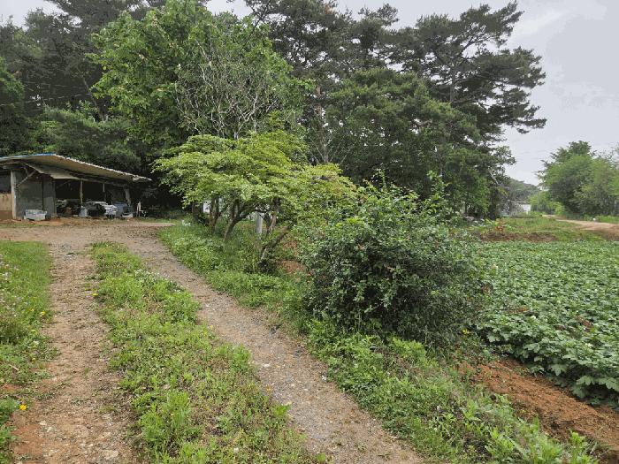 충청남도 당진시 송악읍 부곡리 362-1 전 경매 사진 4
