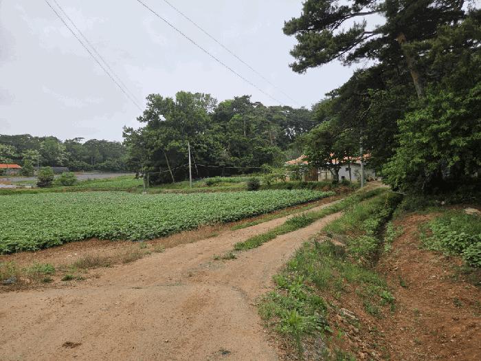 충청남도 당진시 송악읍 부곡리 362-1 전 경매 사진 9
