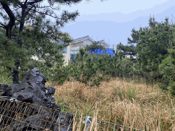 제주특별자치도 제주시 애월읍 애월리 2525-2 전 경매 사진 1