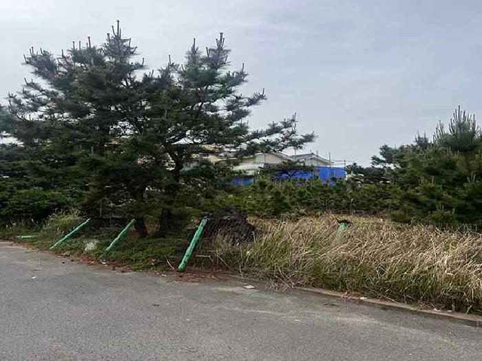 제주특별자치도 제주시 애월읍 애월리 2525-2 전 경매 사진 9