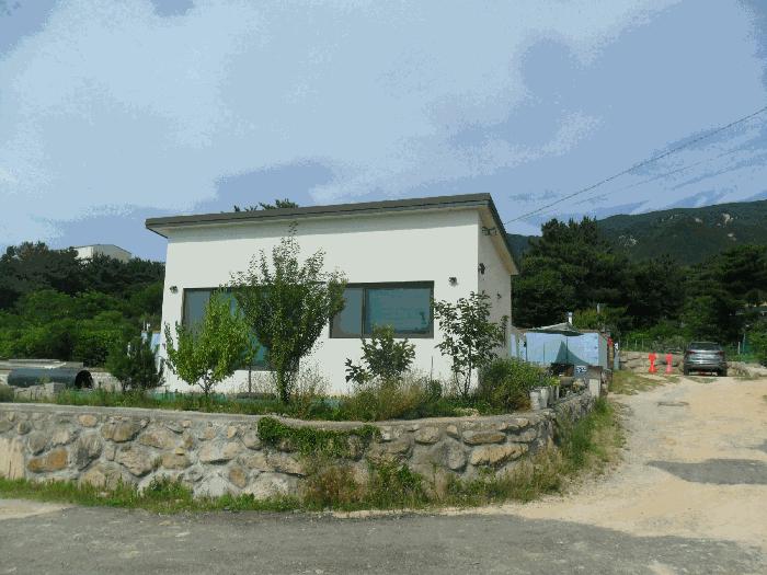 경상북도 경주시 외동읍 모화리 산99-5 임야 경매 사진 10