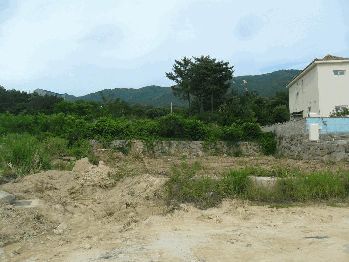 경상북도 경주시 외동읍 모화리 산99-5 임야 경매 사진 5