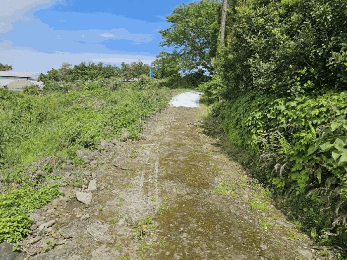 제주시 과수원