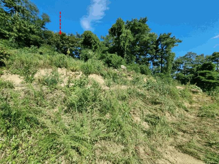 울산광역시 울주군 청량읍 율리 산134-9 임야 경매 사진 2