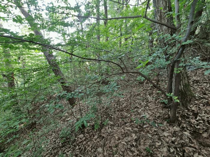 울산광역시 울주군 청량읍 율리 산134-9 임야 경매 사진 5