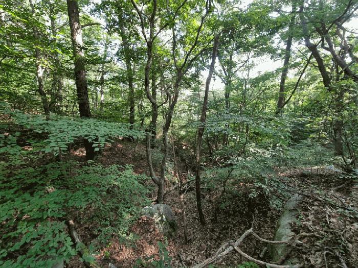 울산광역시 울주군 청량읍 율리 산134-9 임야 경매 사진 6