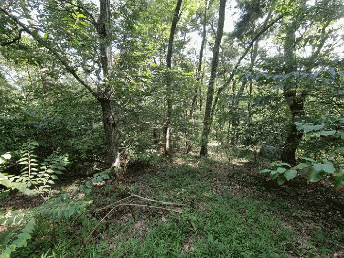 울산광역시 울주군 청량읍 율리 산134-9 임야 경매 사진 7