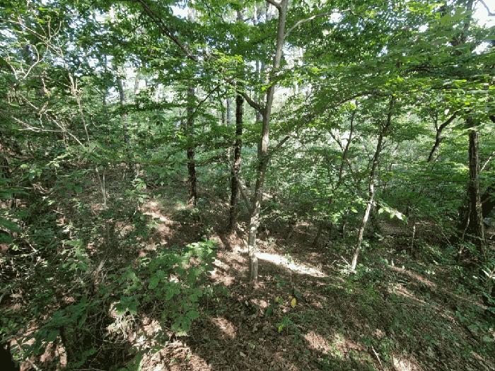 울산광역시 울주군 청량읍 율리 산134-9 임야 경매 사진 8
