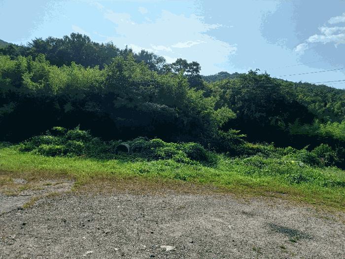 경상북도 경주시 광명동 산150 임야 경매 사진 1