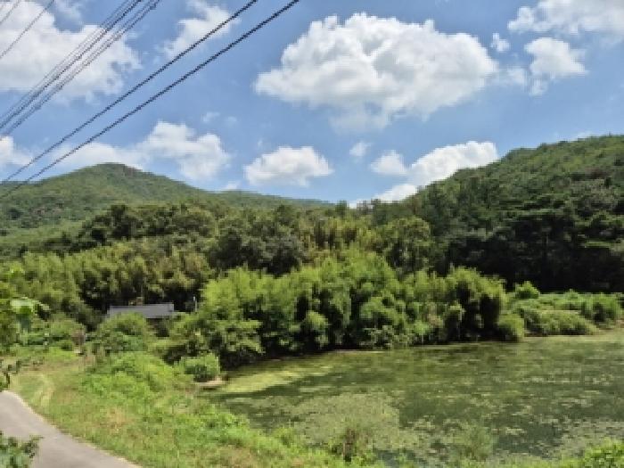 경상북도 경주시 광명동 산150 임야 경매 사진 11