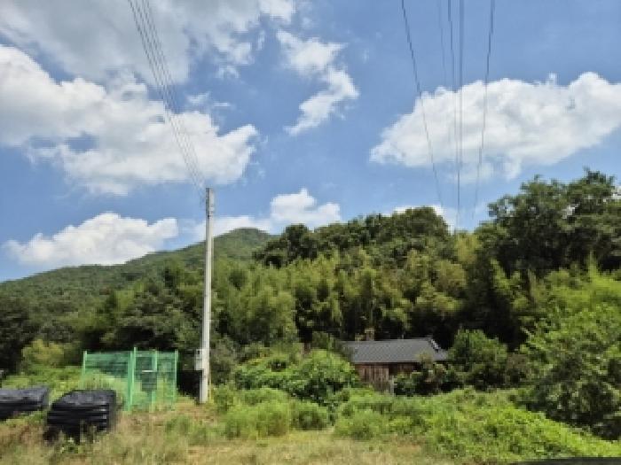 경상북도 경주시 광명동 산150 임야 경매 사진 12