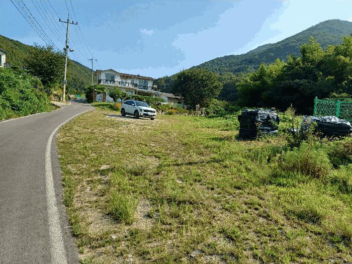 경상북도 경주시 광명동 산150 임야 경매 사진 2