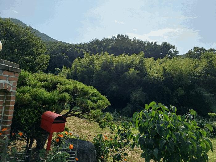 경상북도 경주시 광명동 산150 임야 경매 사진 5