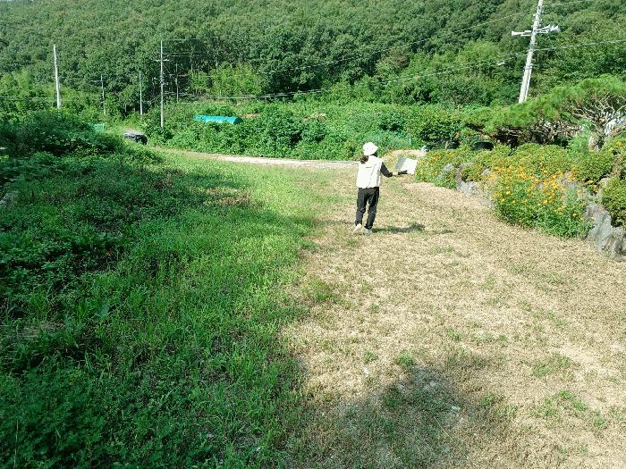 경상북도 경주시 광명동 산150 임야 경매 사진 7