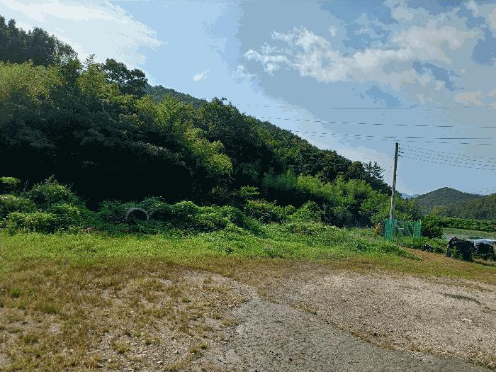 경상북도 경주시 광명동 산150 임야 경매 사진 8