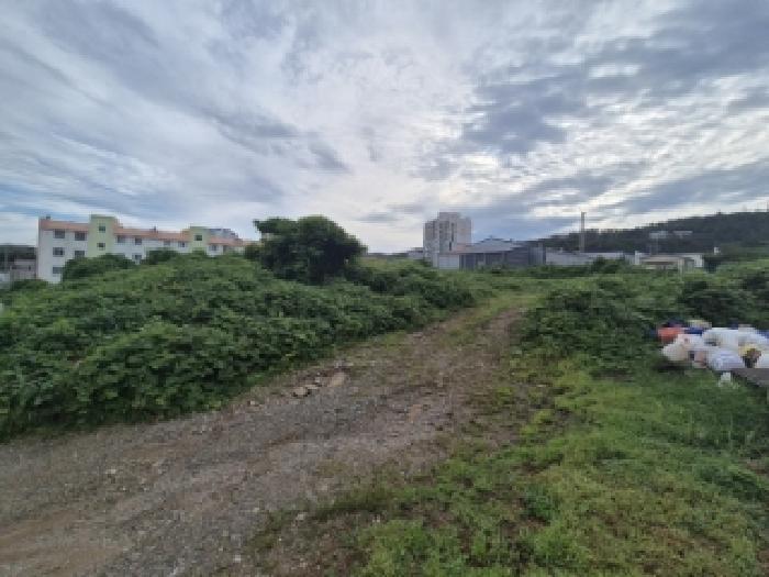 경상북도 경주시 감포읍 감포리 419 전 경매 사진 11