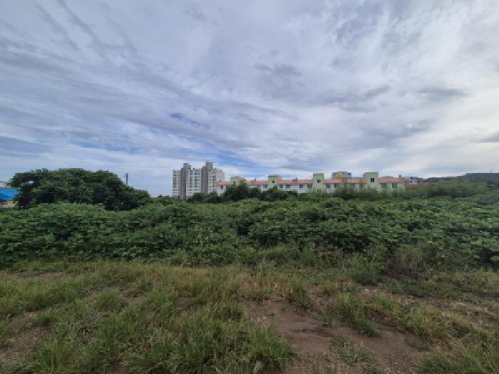 경상북도 경주시 감포읍 감포리 419 전 경매 사진 12