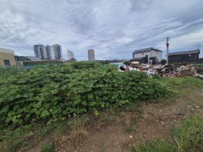 경상북도 경주시 감포읍 감포리 419 전 경매 사진 13