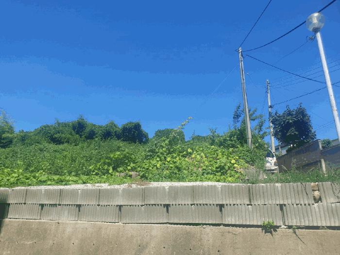 경상북도 경주시 감포읍 감포리 419 전 경매 사진 8