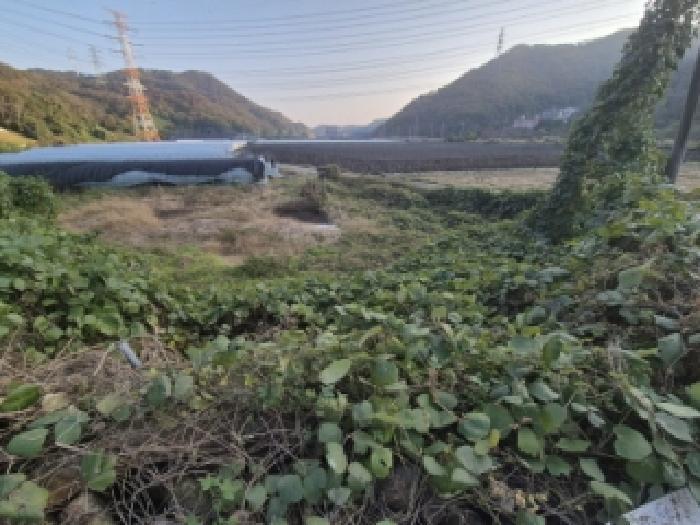 경상북도 경주시 양남면 나산리 758 답 경매 사진 4