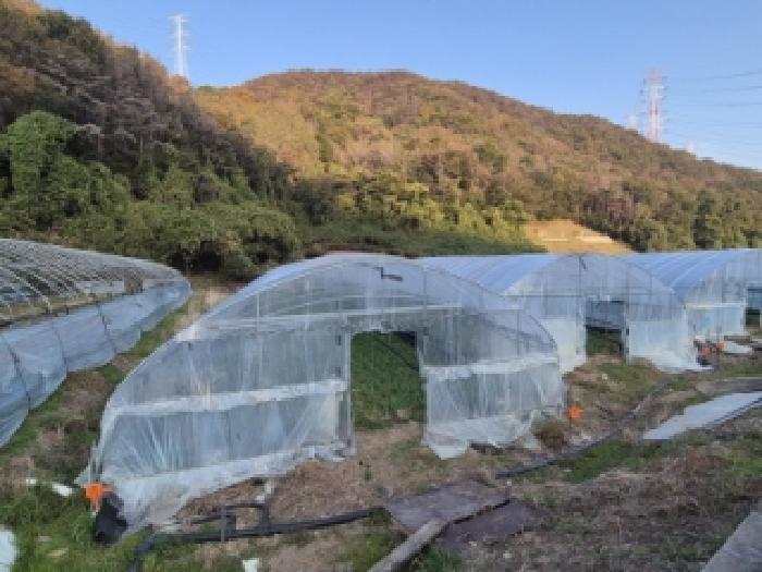 경상북도 경주시 양남면 나산리 758 답 경매 사진 5