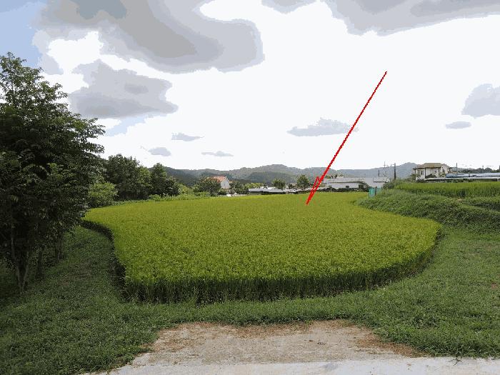 울산광역시 울주군 범서읍 척과리 386-1 답 경매 사진 1