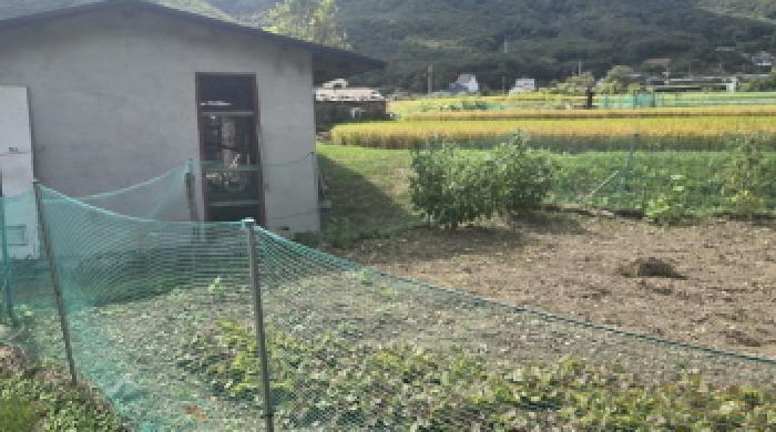 울산광역시 울주군 범서읍 척과리 386-1 답 경매 사진 12