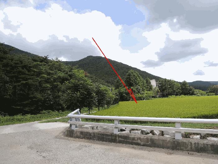울산광역시 울주군 범서읍 척과리 386-1 답 경매 사진 8