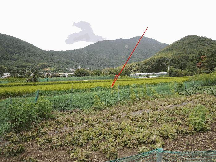 울산광역시 울주군 범서읍 척과리 386-4 답 경매 사진 3