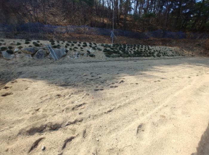 충청남도 금산군 남일면 신정리 614 전 경매 사진 17