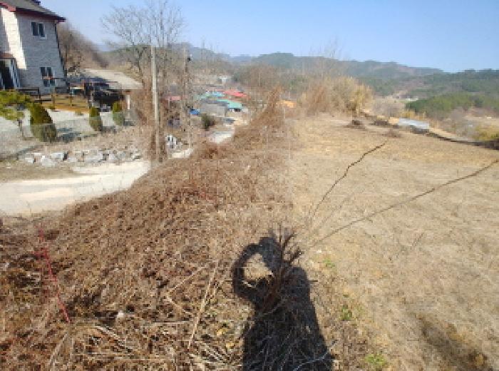 충청남도 금산군 남일면 신정리 614 전 경매 사진 33