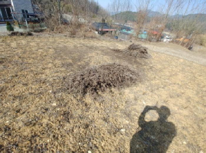 충청남도 금산군 남일면 신정리 614 전 경매 사진 36