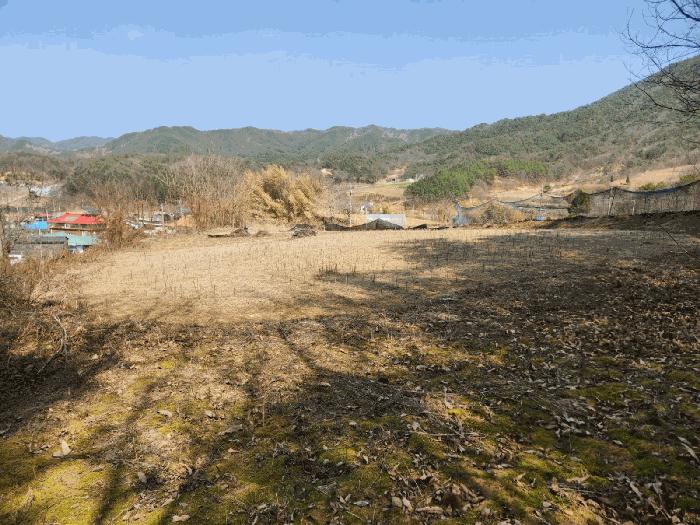 충청남도 금산군 남일면 신정리 614 전 경매 사진 4