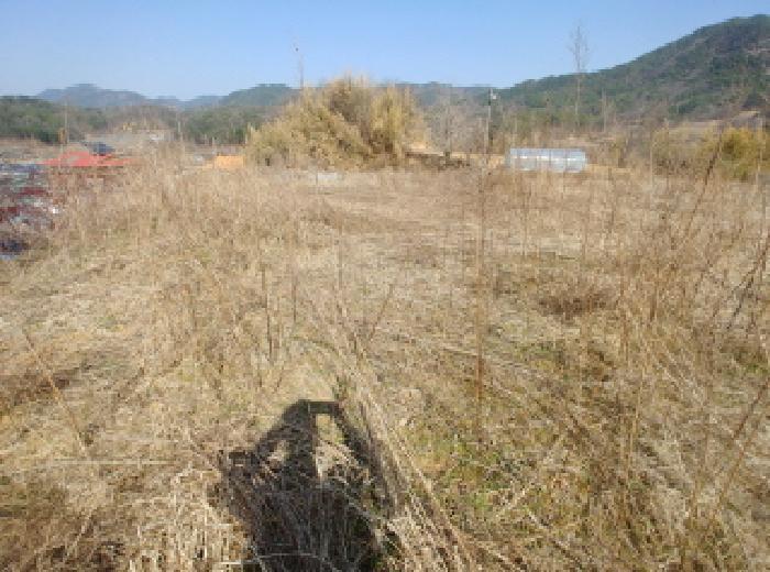 충청남도 금산군 남일면 신정리 614 전 경매 사진 55