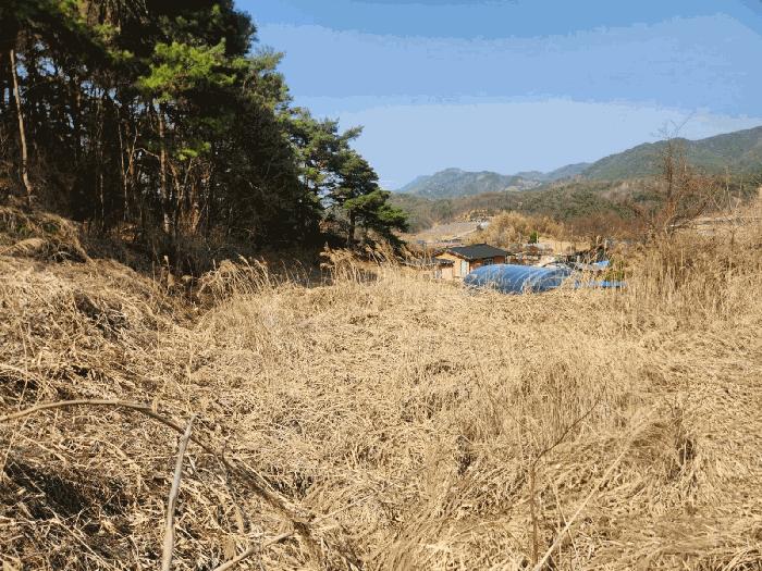 충청남도 금산군 남일면 신정리 615 전 경매 사진 12