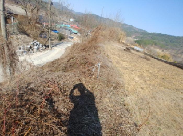충청남도 금산군 남일면 신정리 615 전 경매 사진 34